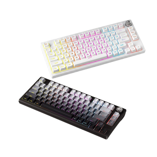Mechanical Gaming Keyboard Gasket Structure Hot-Swap & RGB Backlit